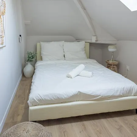 Cocon De La Tour - 1 - Hypercentre Troyes