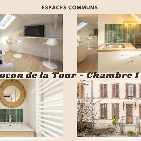 Cocon De La Tour - 1 - Hypercentre *