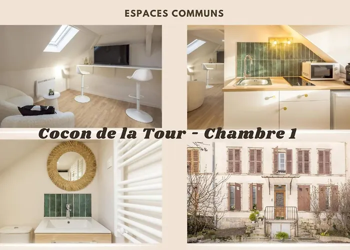 Cocon De La Tour - 1 - Hypercentre *
